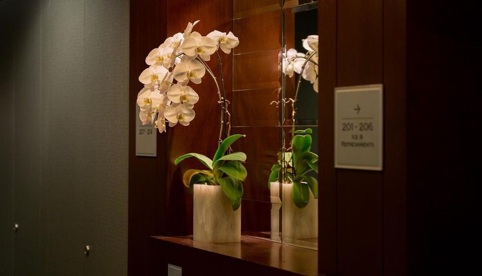 Interior view - St. Regis Hotel