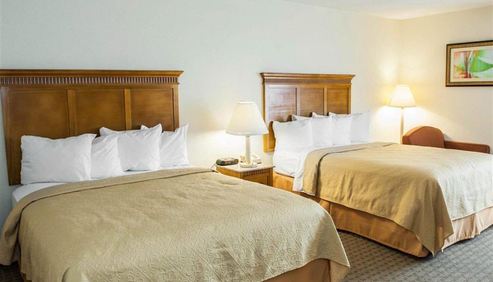 Zimmer - Quality Inn & Suites Indianapolis Northwest