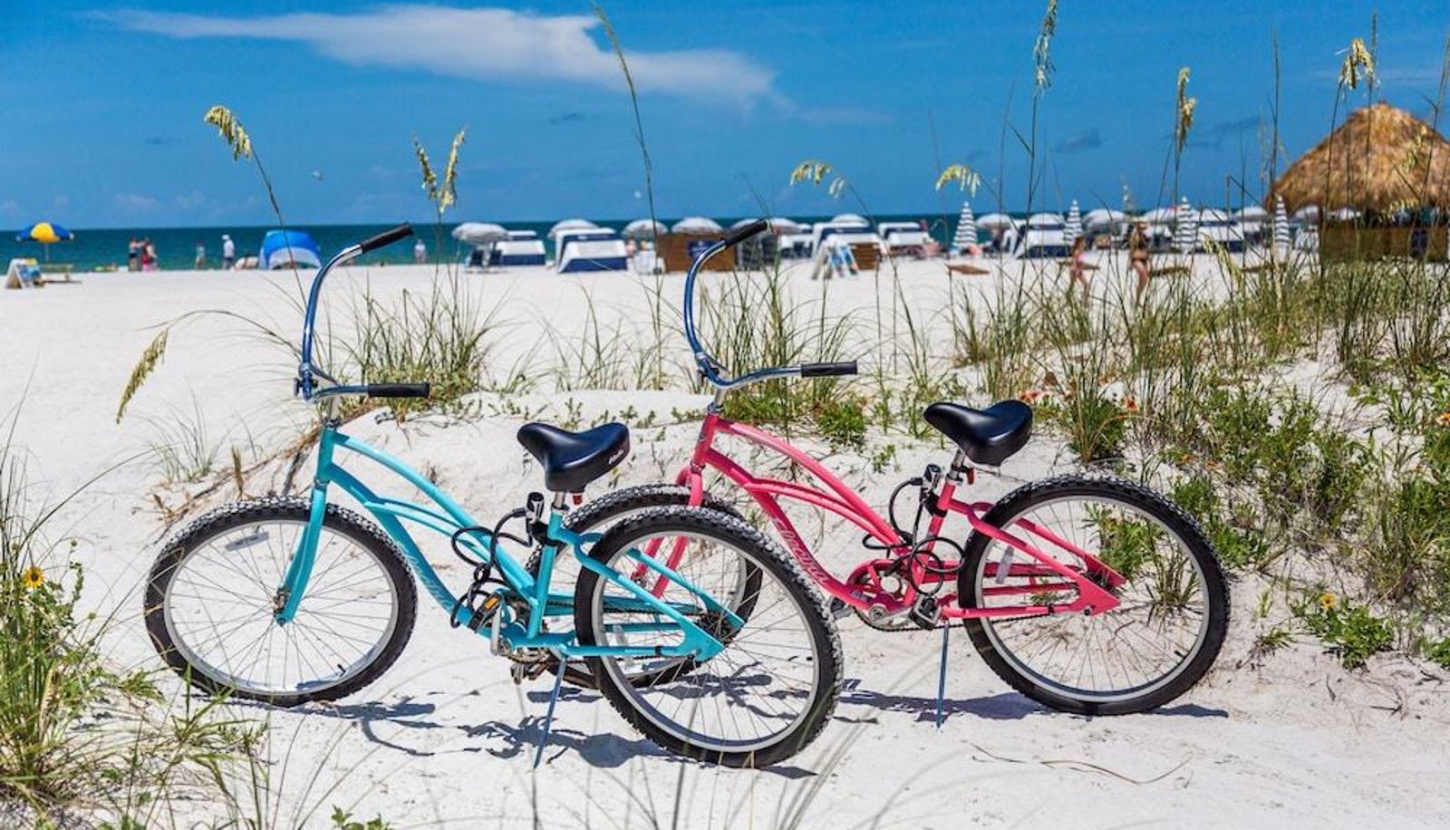 Sports facilities - Sirata Beach Resort St Pete Beach