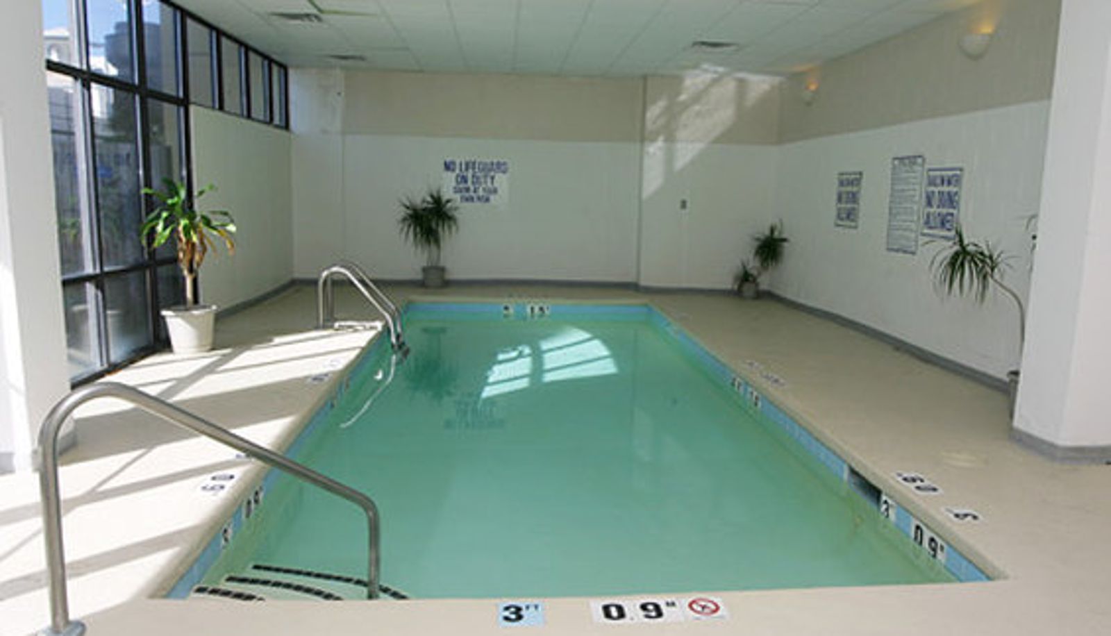 Piscina - Sun N Sand Resort