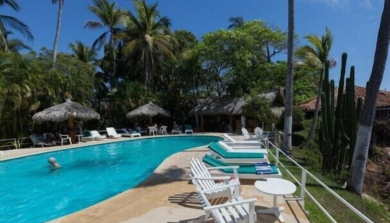 Pool - Hotel Los Flamingos
