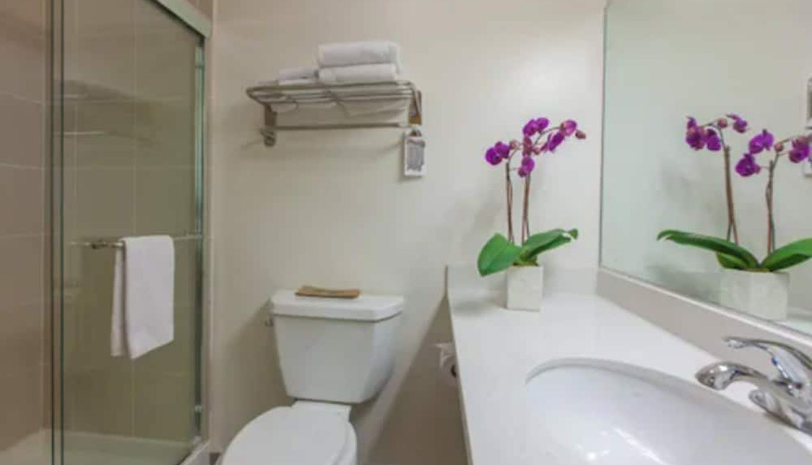 Badezimmer - Grant Plaza Hotel