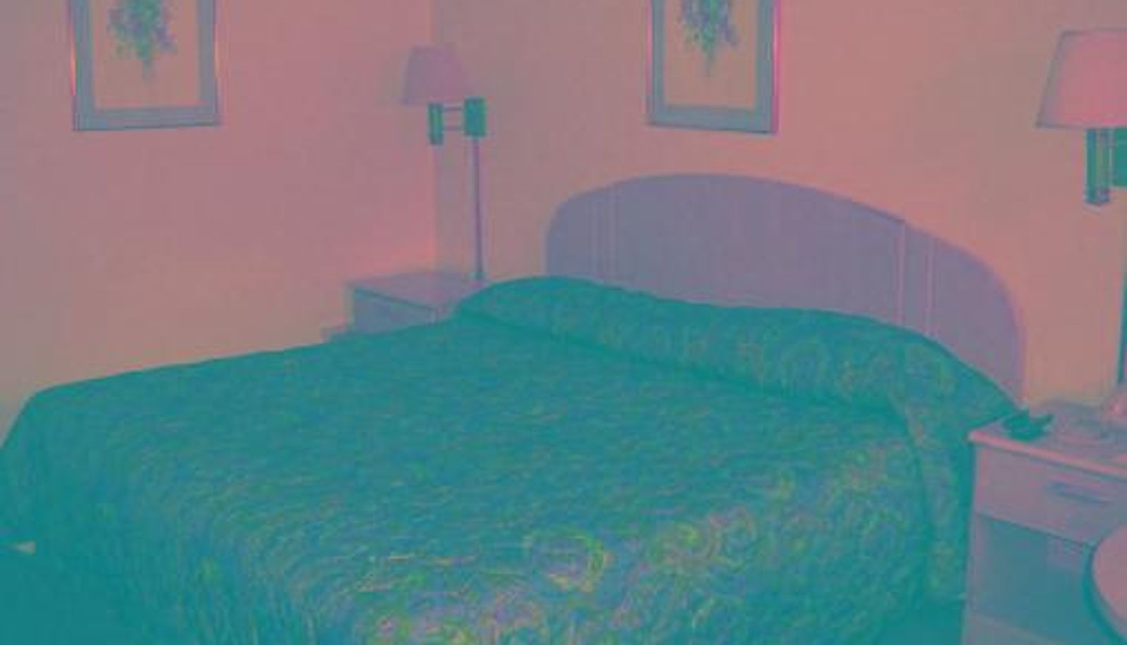 Room - Davidson Lodge
