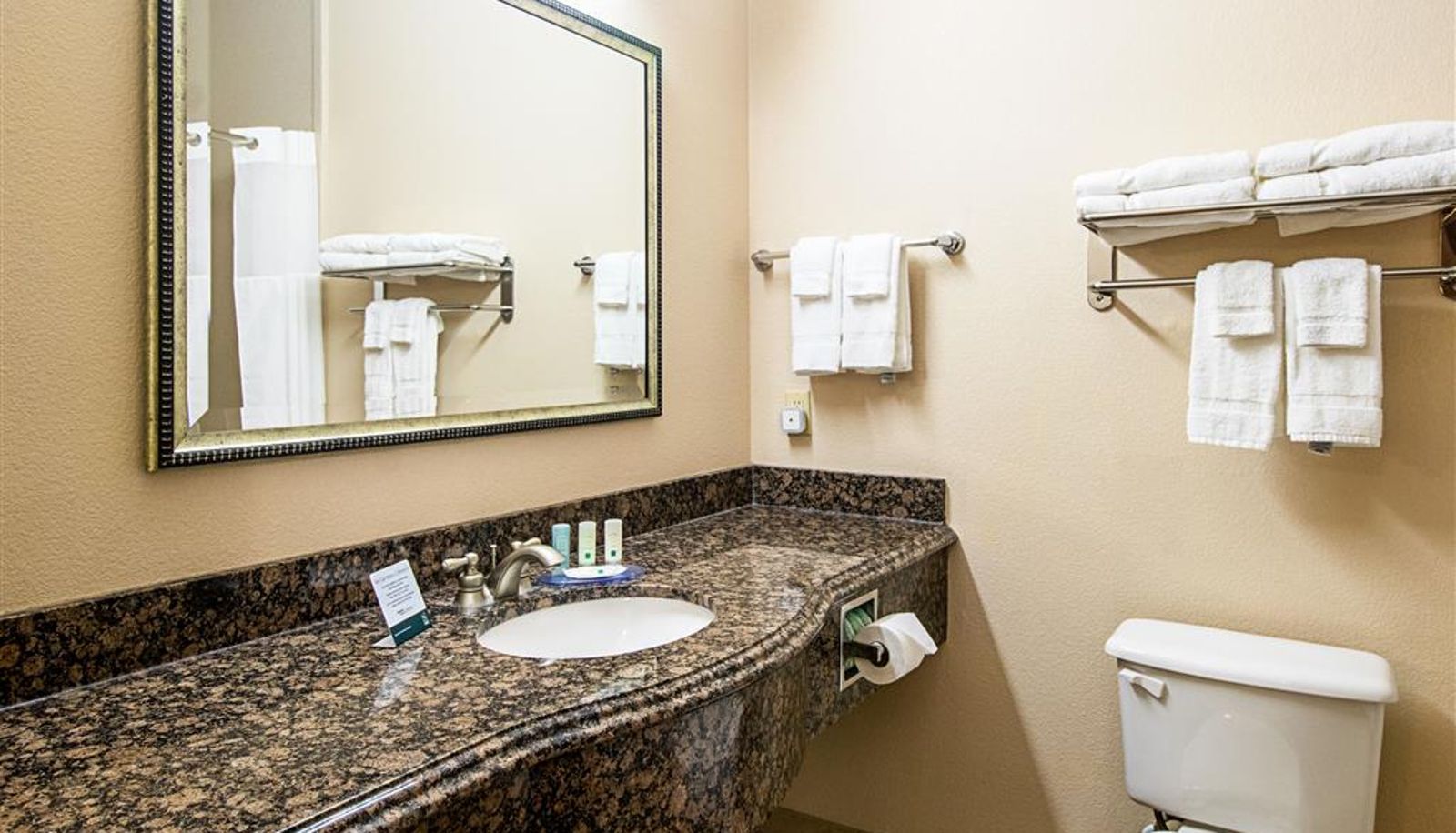 Zimmer - Quality Inn & Suites Robstown