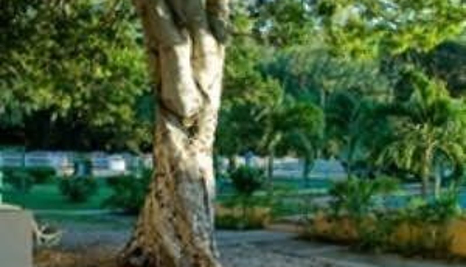 Hall - DESERT PRINCESS GOLF AND TENNIS RESORT