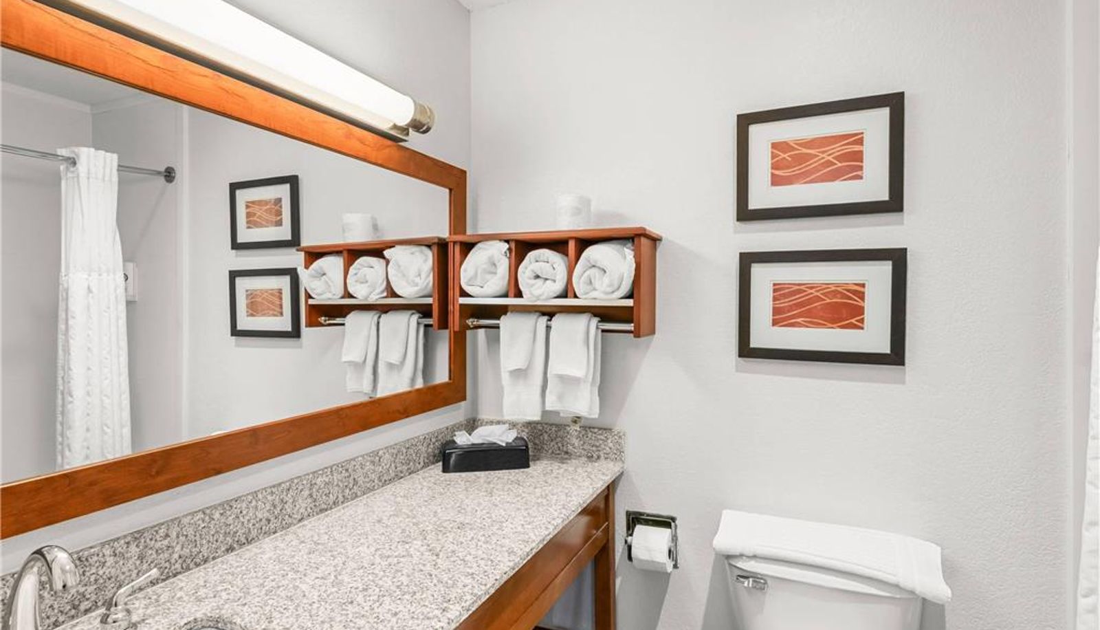Room - Comfort Inn & Suites Bellevue - Omaha Offutt AFB