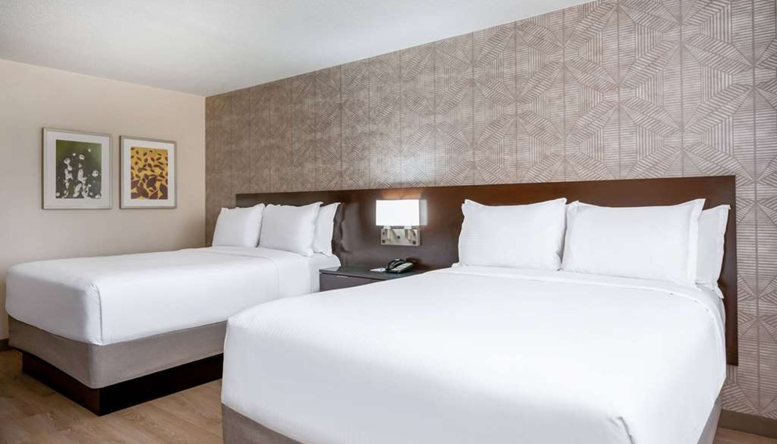 Room - Wyndham Indianapolis Airport