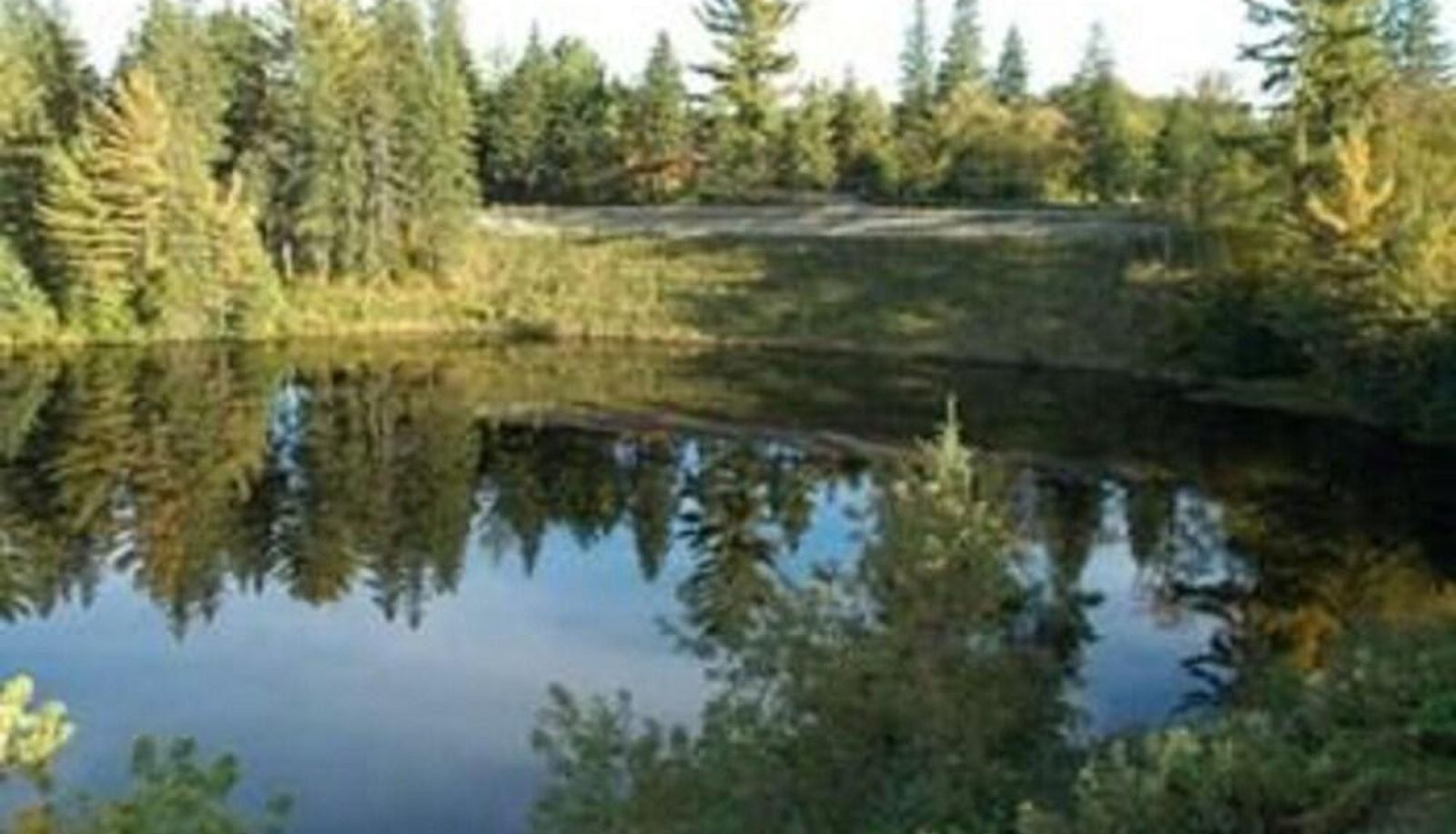 Surrounding - Prague Inn Suites And Cottages