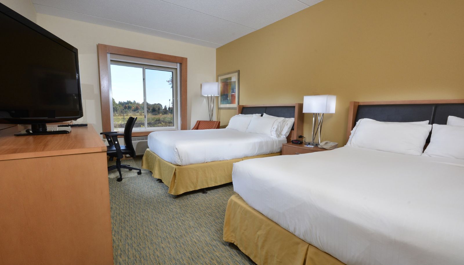 Chambre - Holiday Inn Express & Suites HIGH POINT SOUTH by IHG