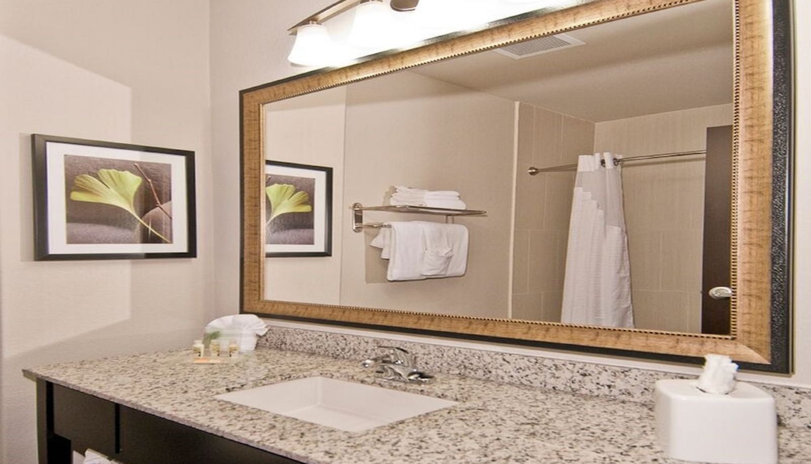 Superior room (double) - Atwell Suites AUSTIN AIRPORT by IHG
