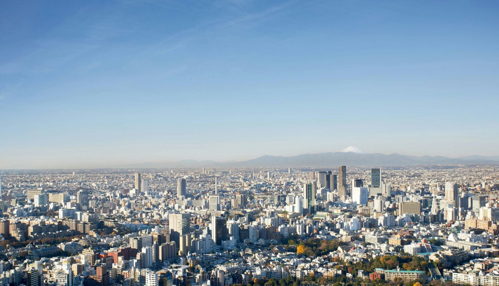 Room - The Ritz-Carlton Tokyo