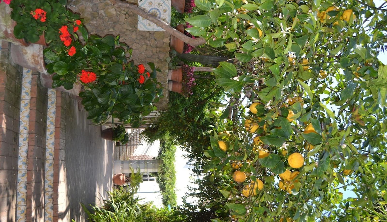 Giardino - Hotel Tirreno Residence