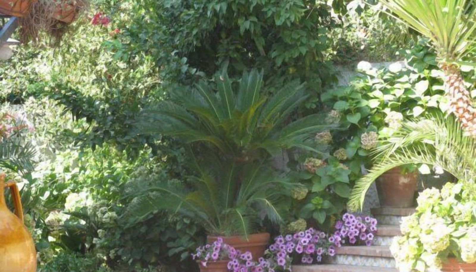 Garten - Hotel Tirreno Residence