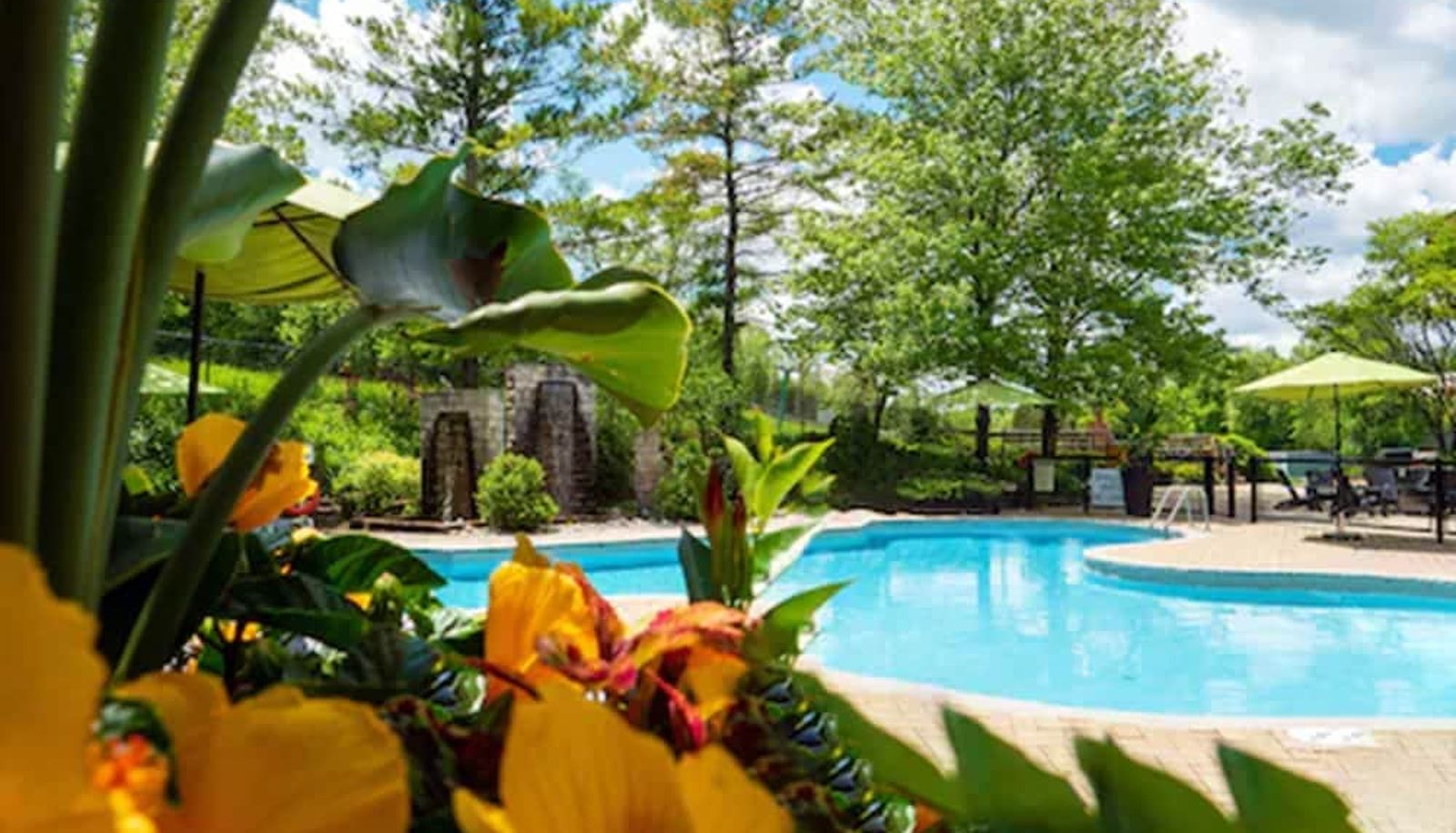 Piscine - Hockley Valley Resort