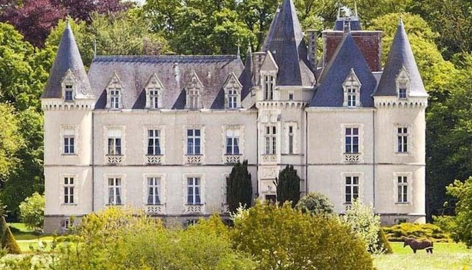 Area esterna dell'hotel - Château des Tesnières