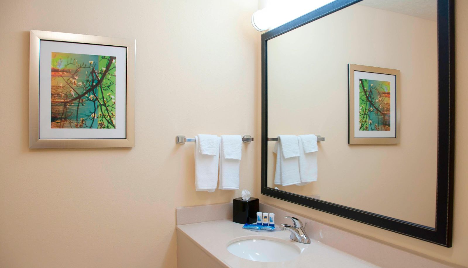 Zimmer - Fairfield Inn and Suites by Marriott Ames