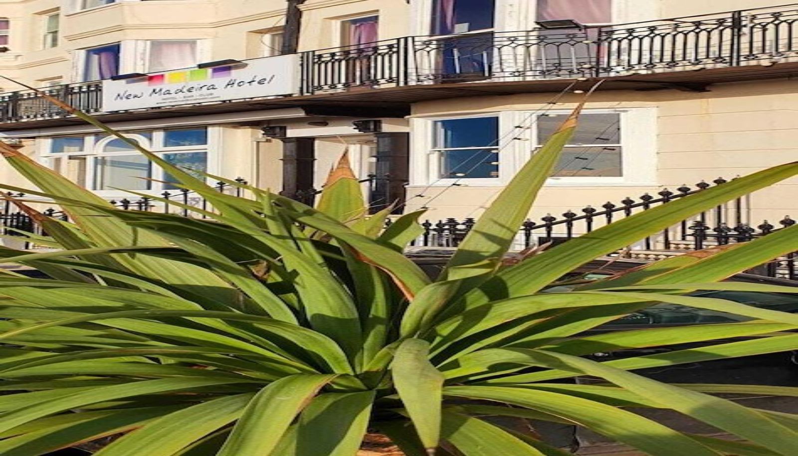 Zewnętrzna część hotelu - New Madeira Hotel