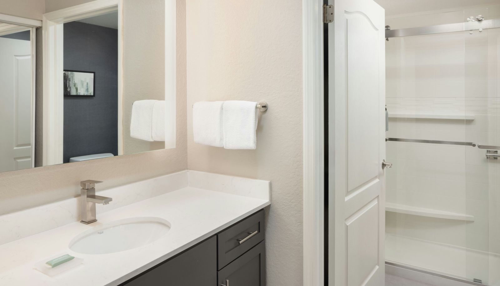 Zimmer - Residence Inn by Marriott Tampa Suncoast Parkway at NorthPointe Village