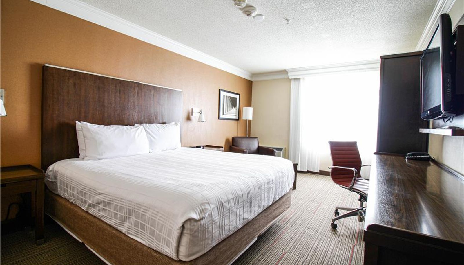 Camera - Trademark Collection by Wyndham Waterloo Suites Hotel