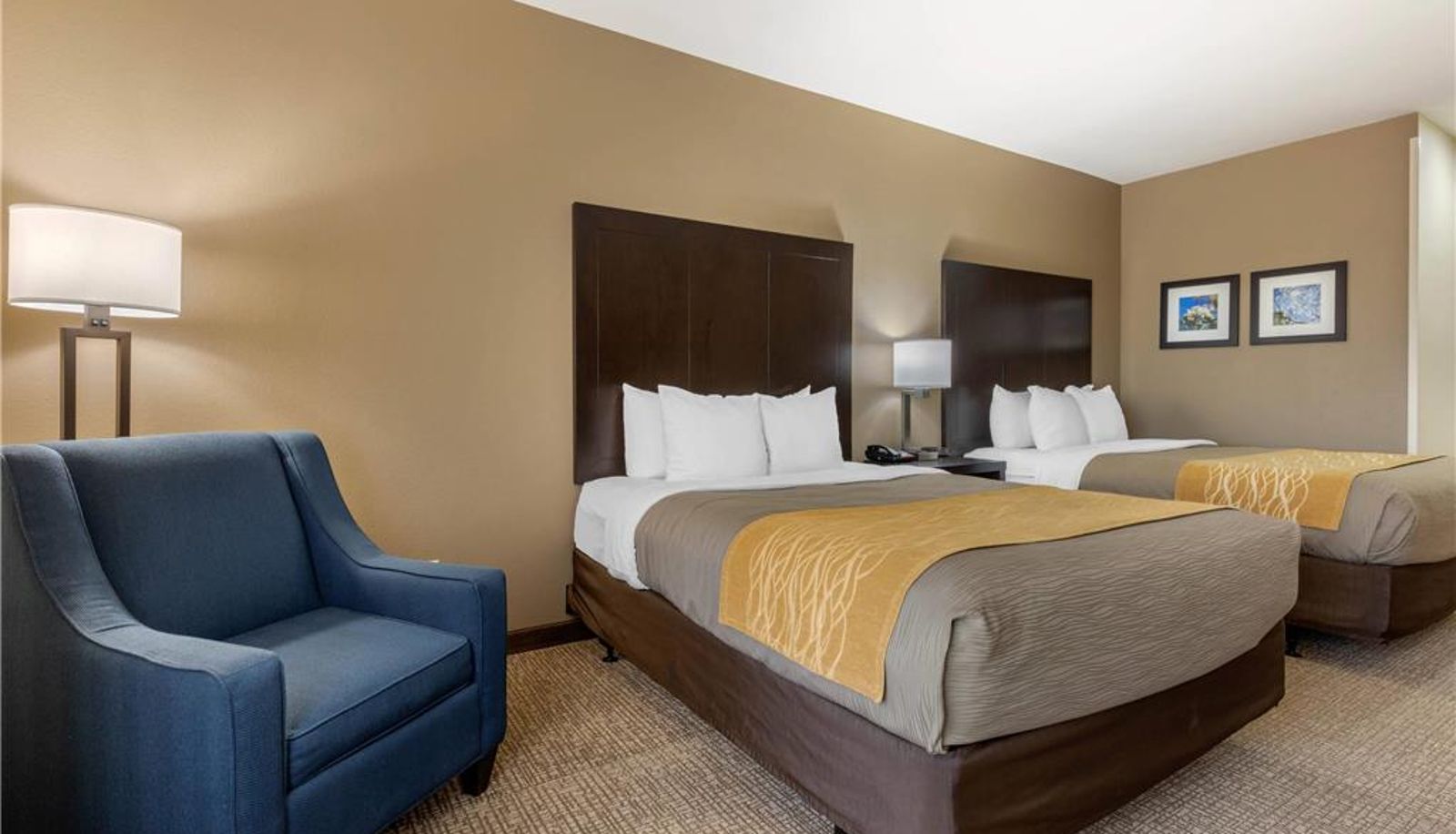 Kamer - Comfort Inn & Suites North Little Rock McCain Mall