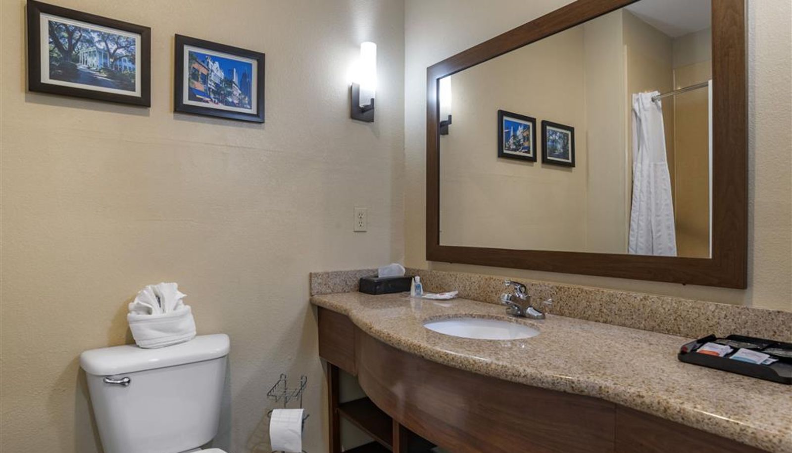 Zimmer - Comfort Suites Mobile West Tillmans Corner