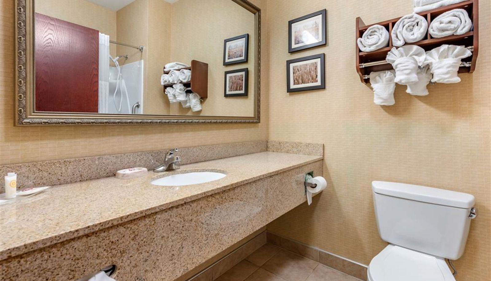 Camera - Comfort Suites Elkhart South