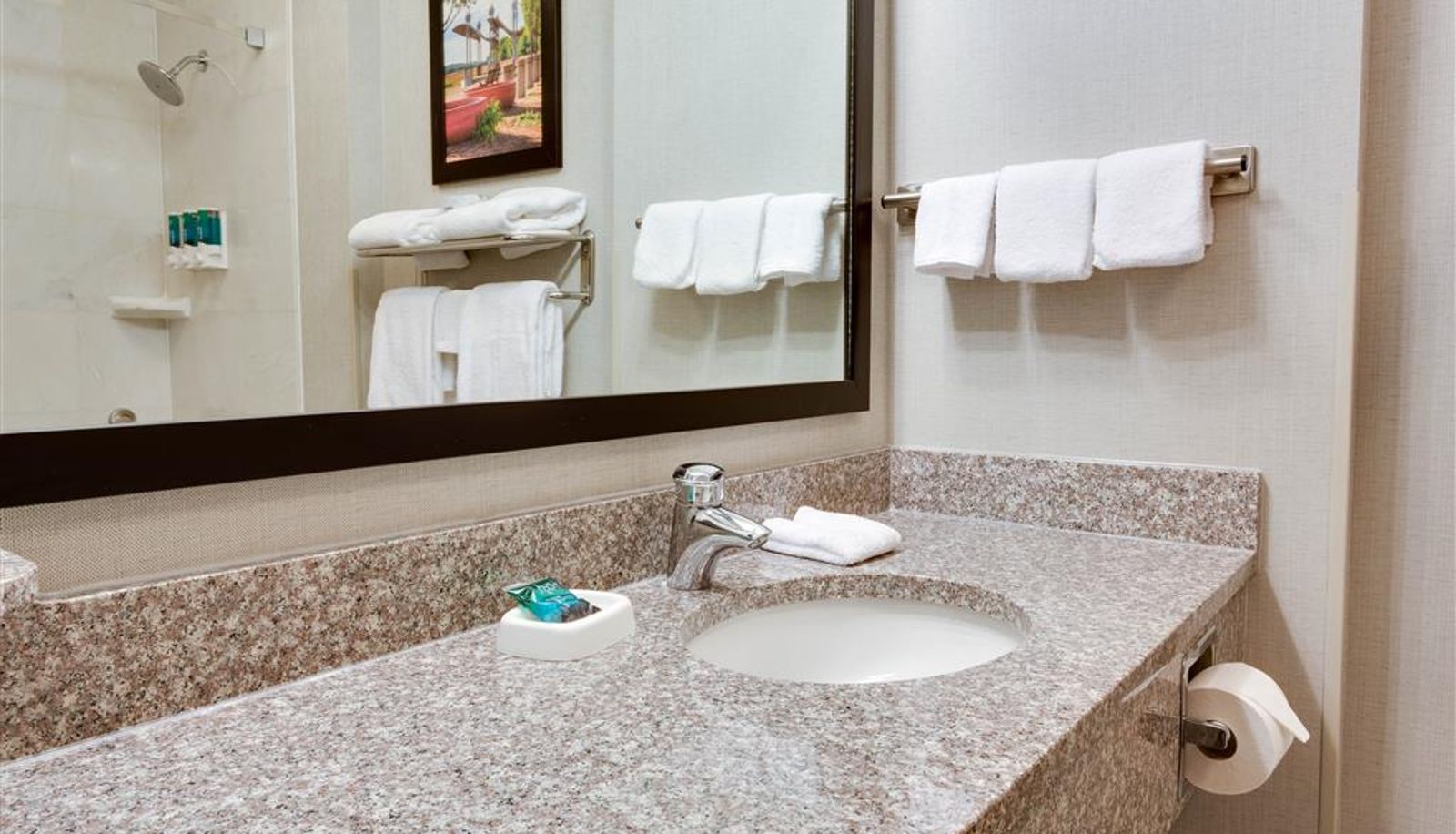 Camera - Drury Inn and Suites Middletown Franklin