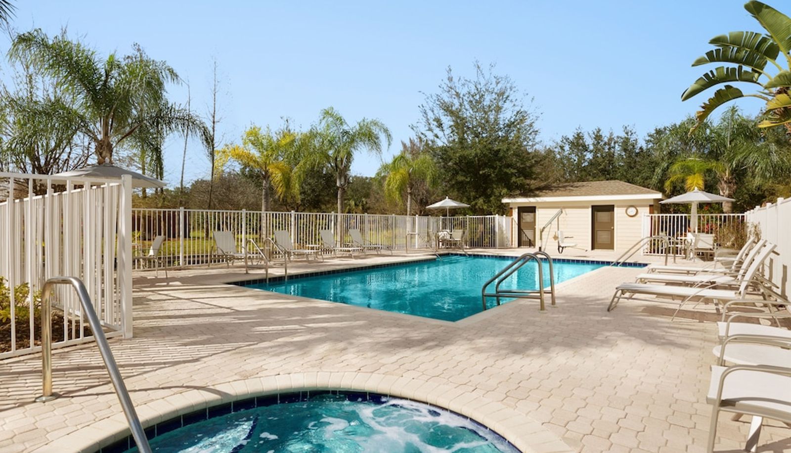 Pool - Staybridge Suites TAMPA EAST- BRANDON by IHG
