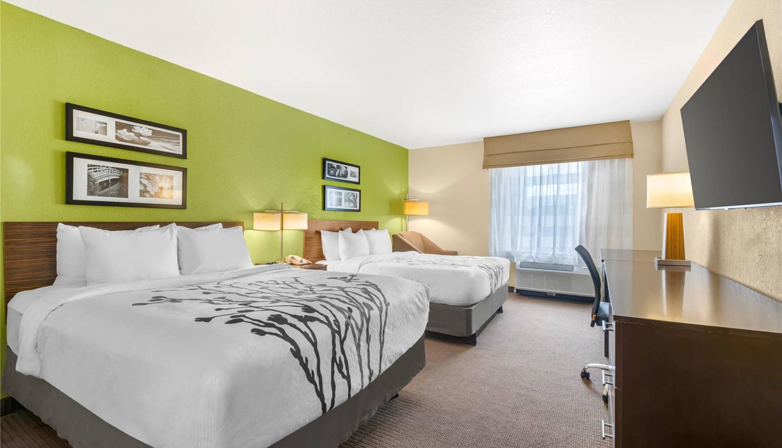 Zimmer - Sleep Inn & Suites Port Charlotte-Punta Gorda