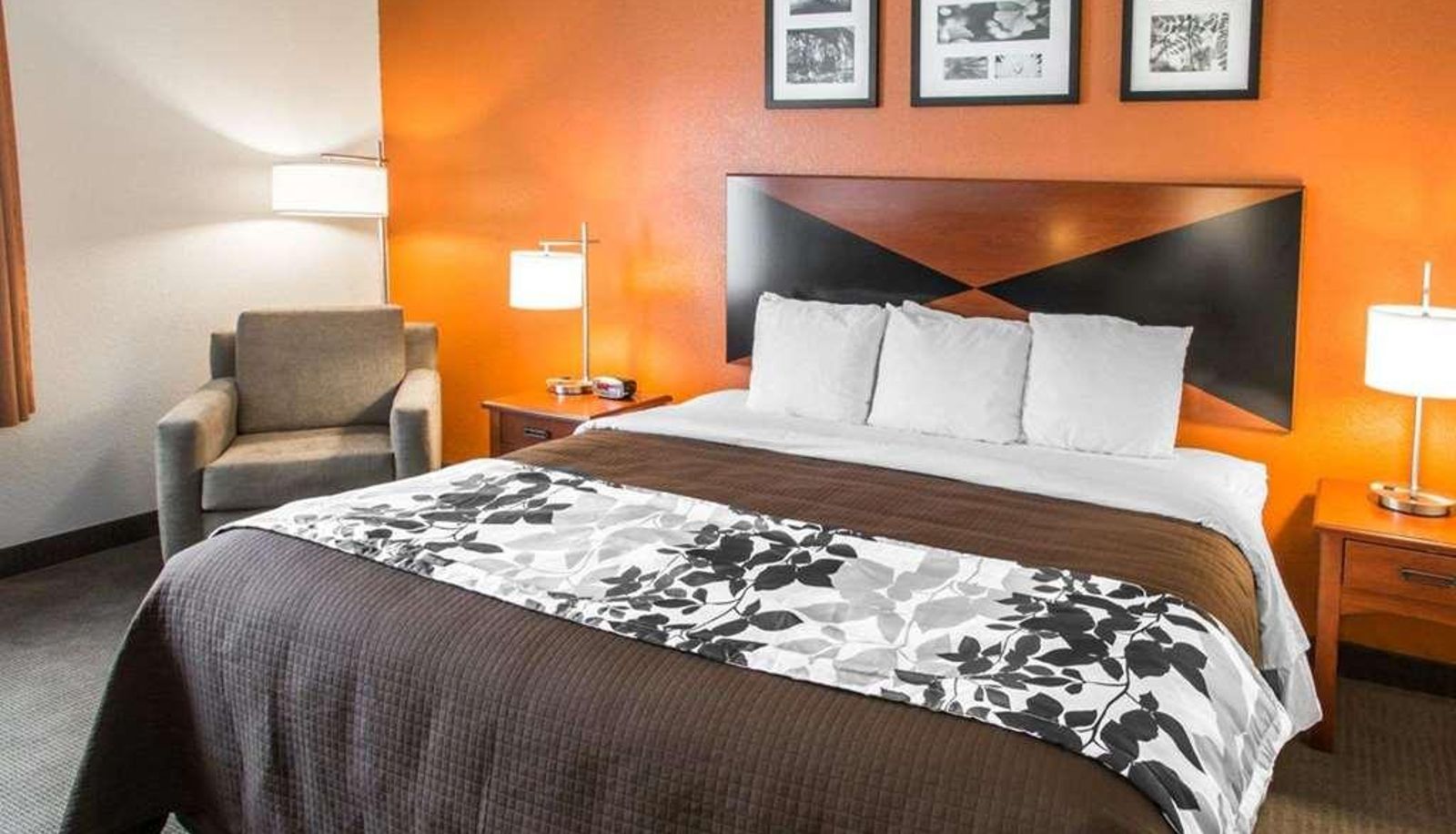 Standard room (double) - Sleep Inn & Suites Palatka North