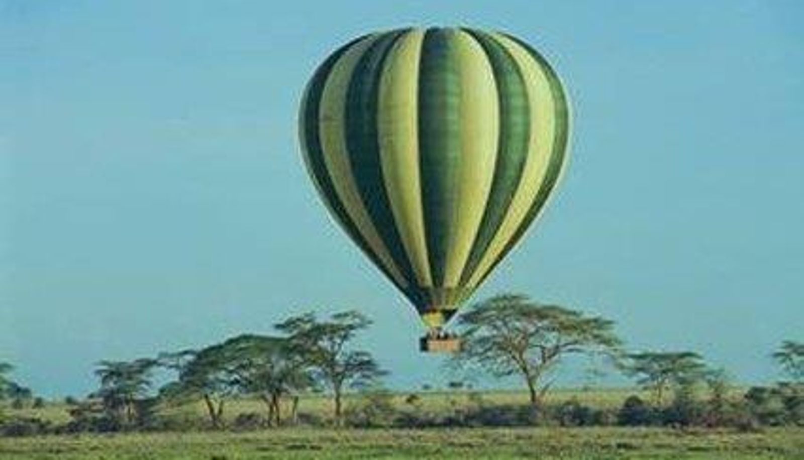 Innenbreich - SERENGETI SERENA SAFARI LODGE