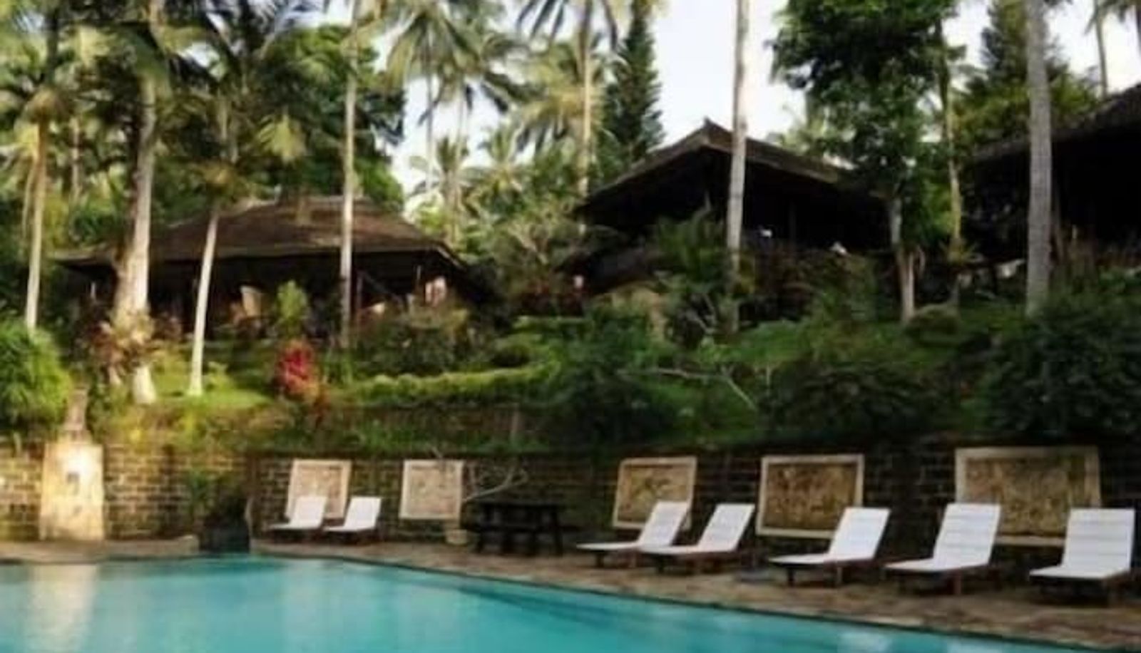 Pool - Cempaka Belimbing Villas