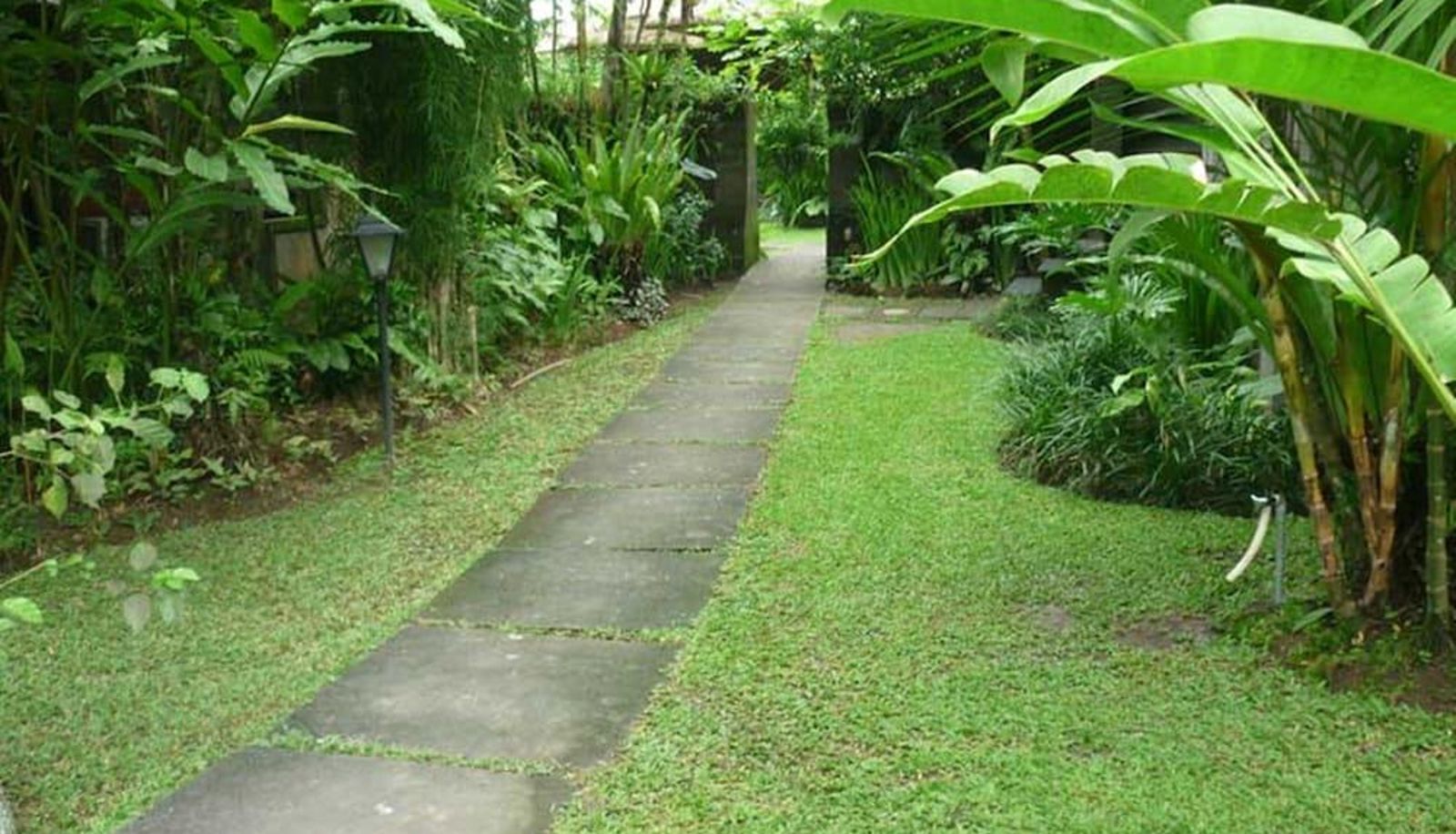 Surrounding - Ananda Ubud Resort
