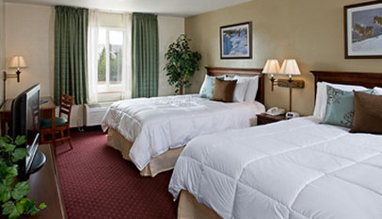 Camera - Yellowstone Park Hotel