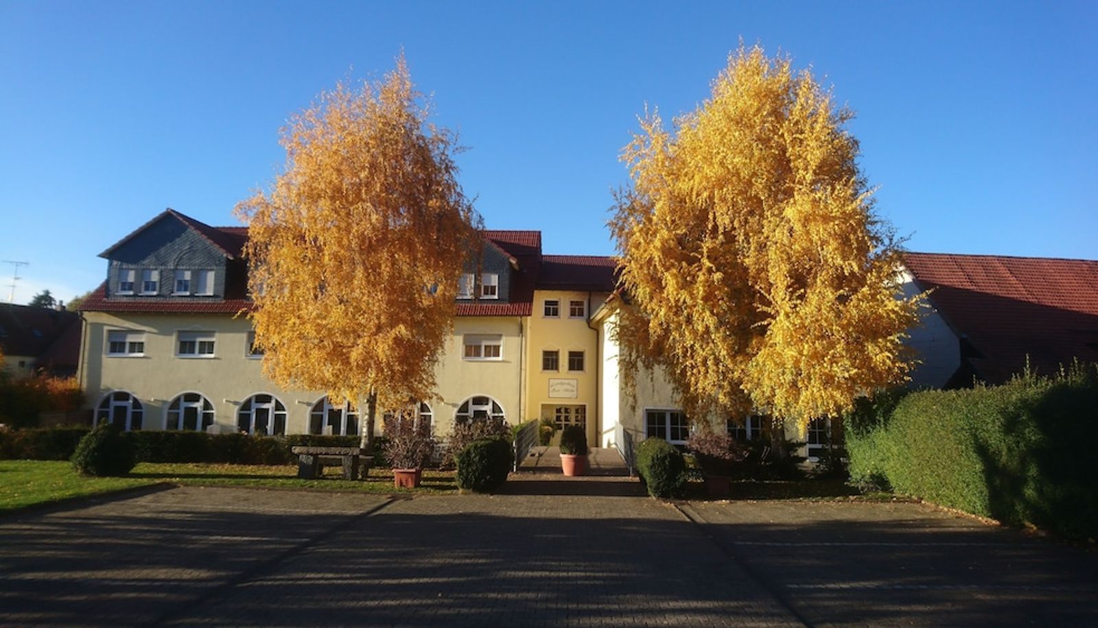 Recepcja - Landgasthaus Zur Birke Landgasthaus