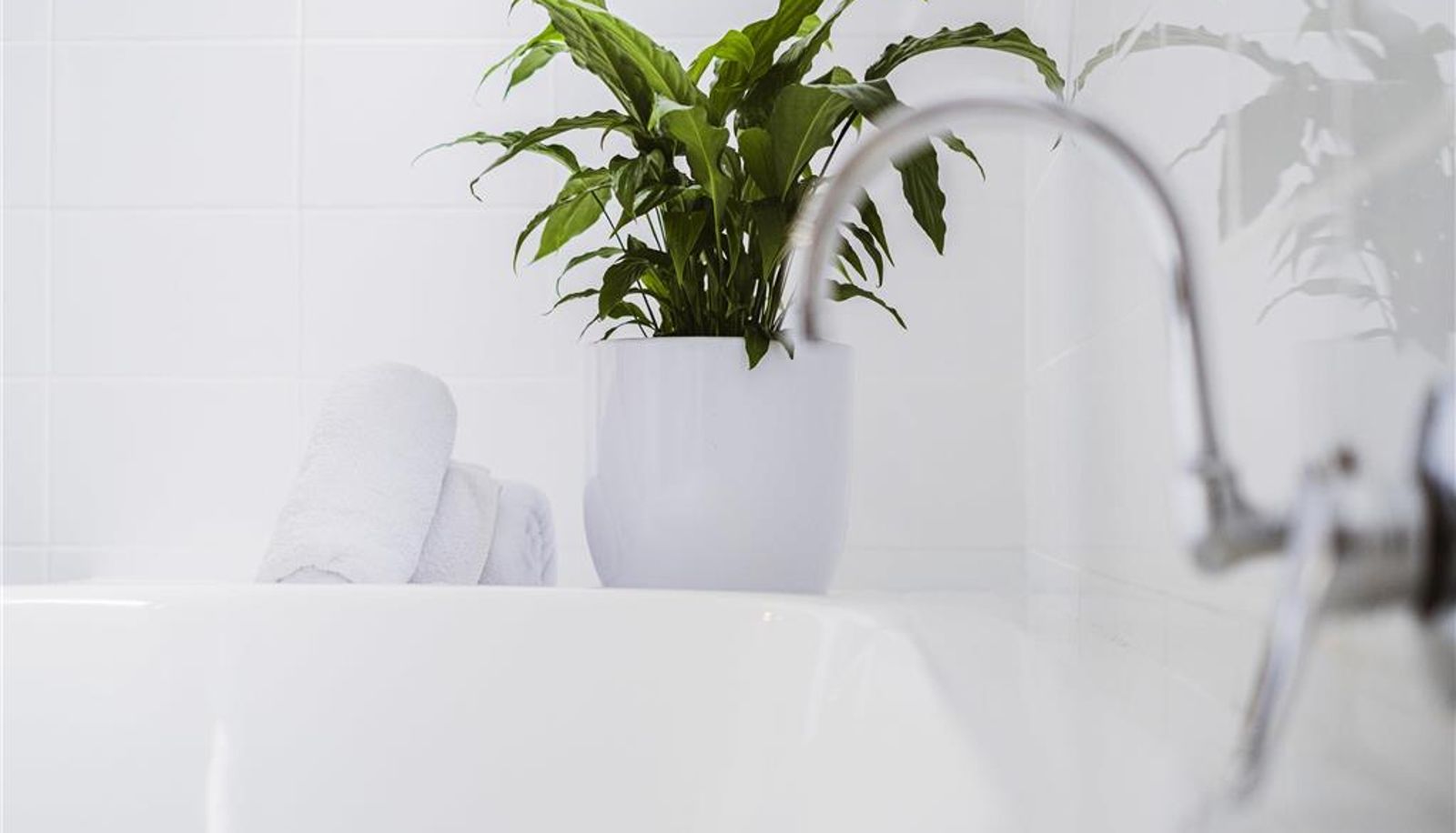 Zimmer - Mercure Centro Port Macquarie
