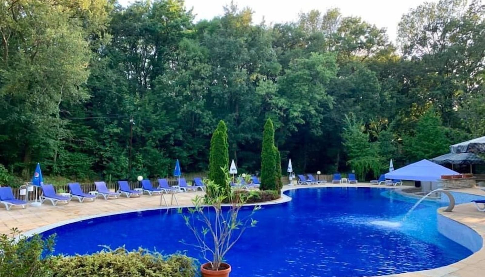 Pool - Boutique SPA Hotel Orchidea