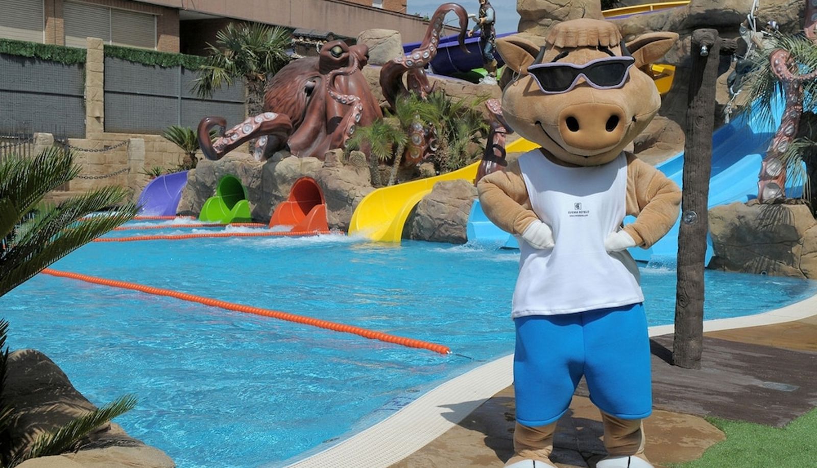 Piscina - Evenia Olympic Garden