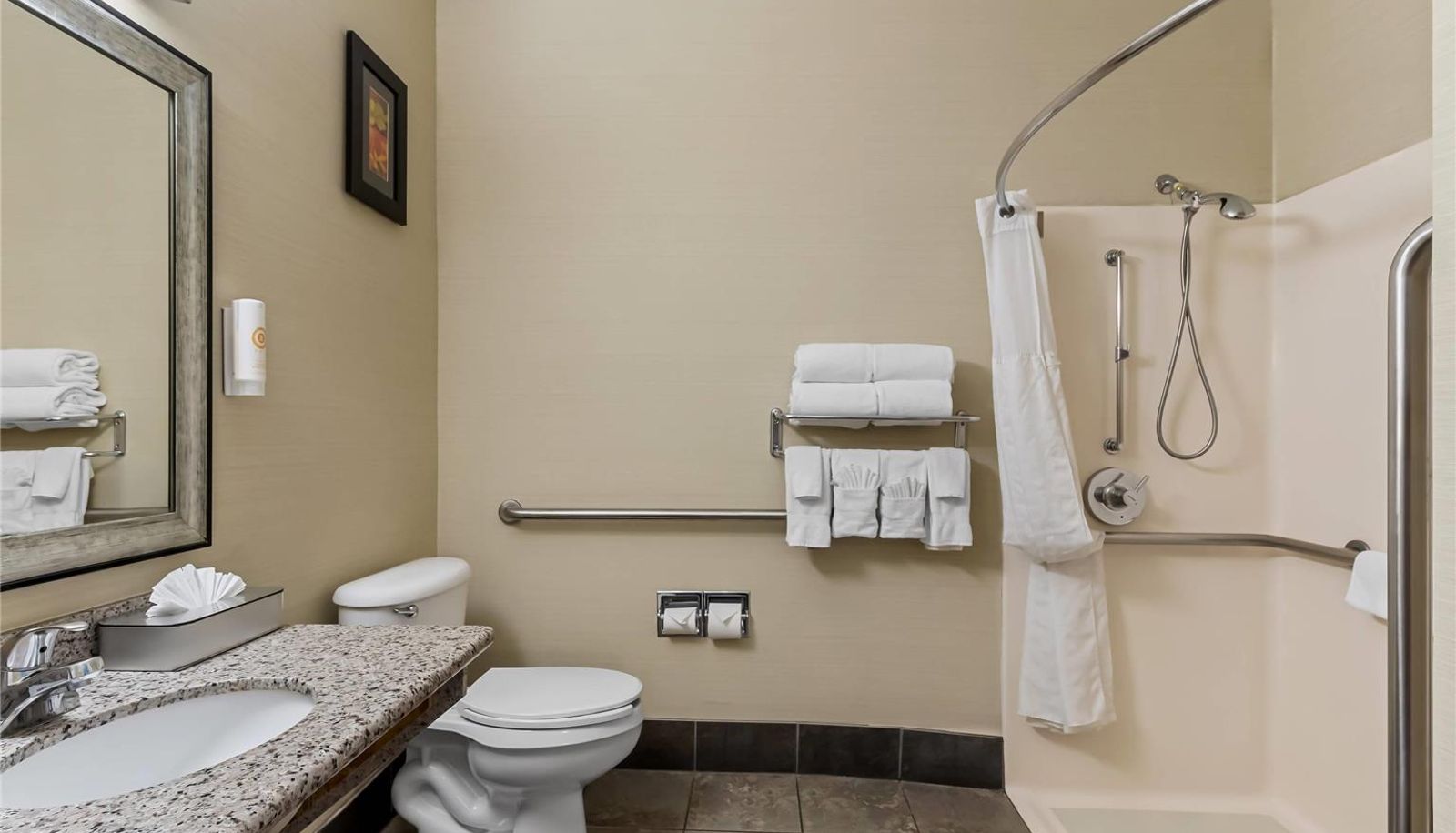 Kamer - Comfort Suites Denver Tech Center