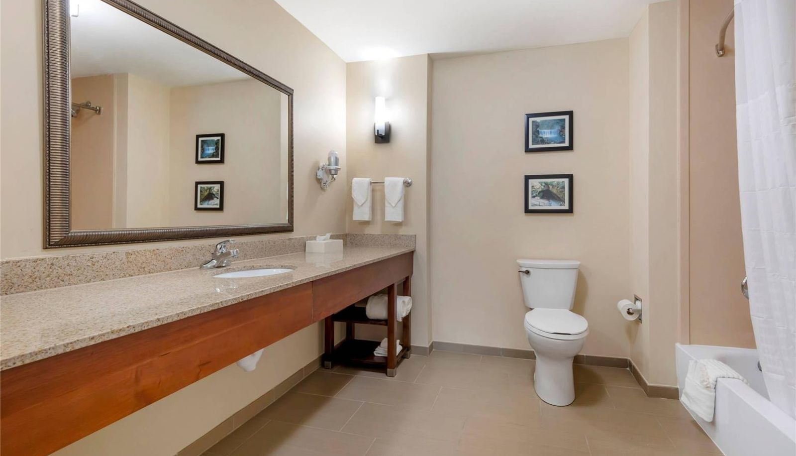 Room - Comfort Suites Elizabethtown