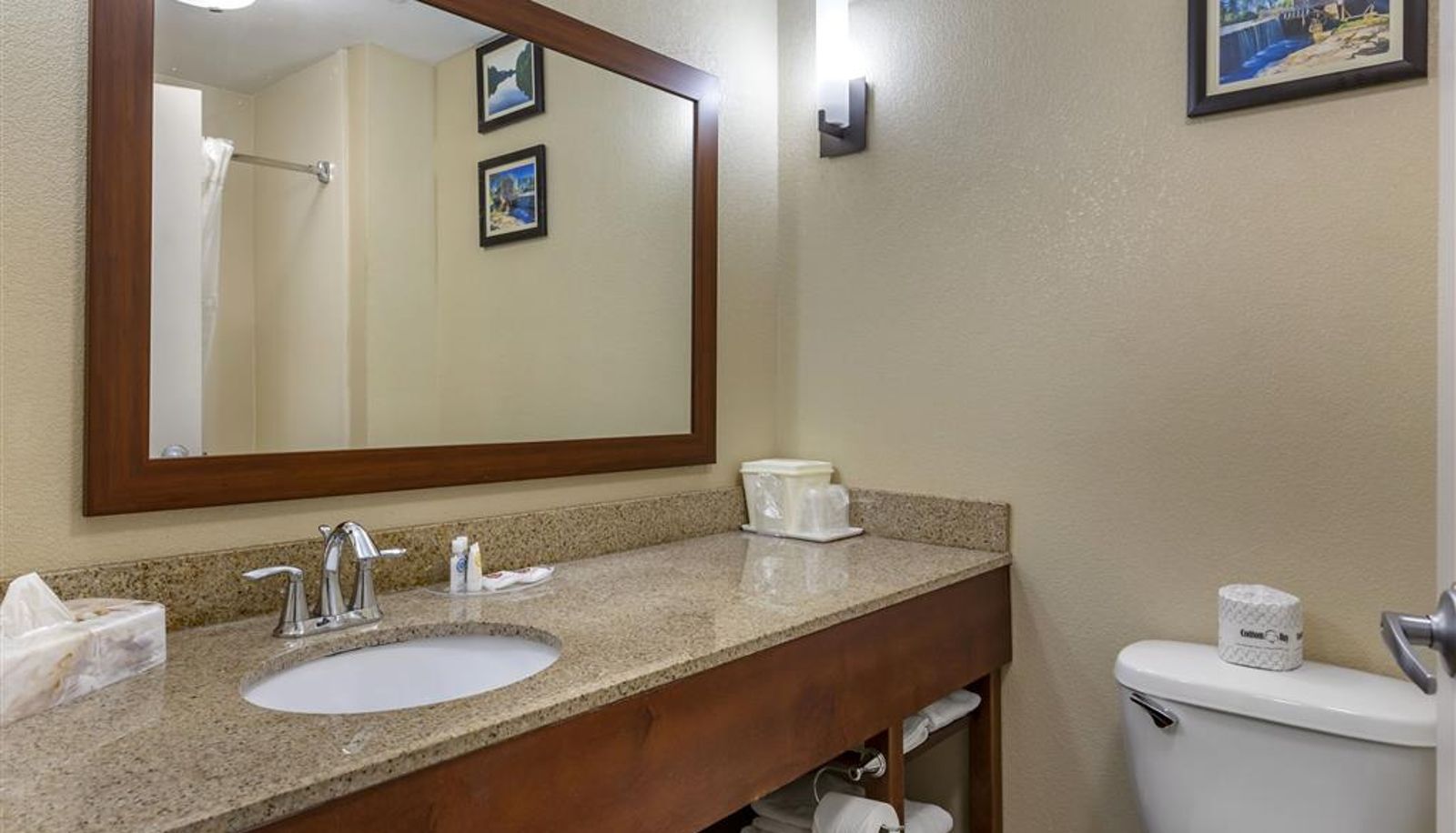 Zimmer - Comfort Suites Clayton - Garner