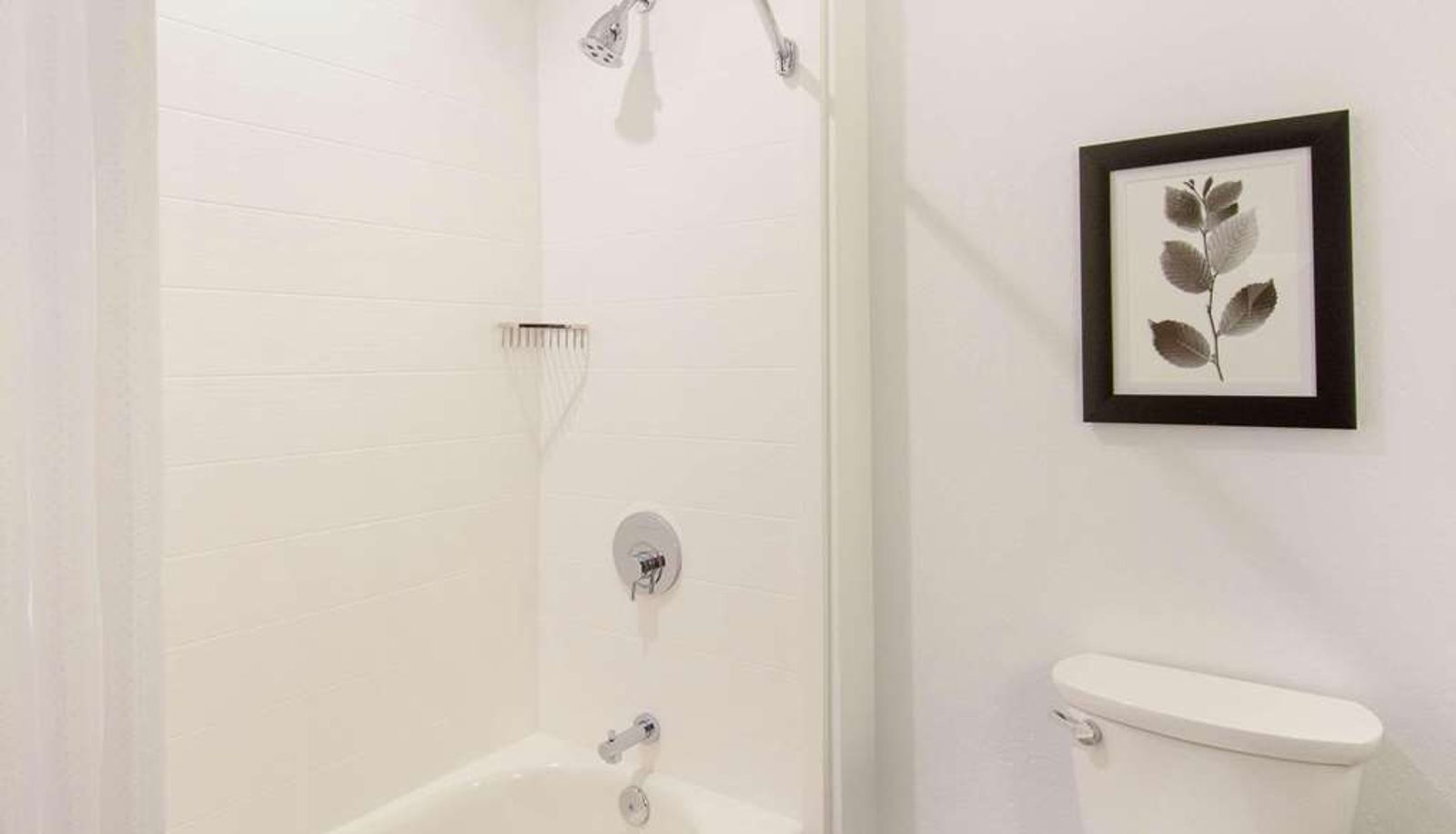 Room - Country Inn & Suites by Radisson Flagstaff Downtown AZ