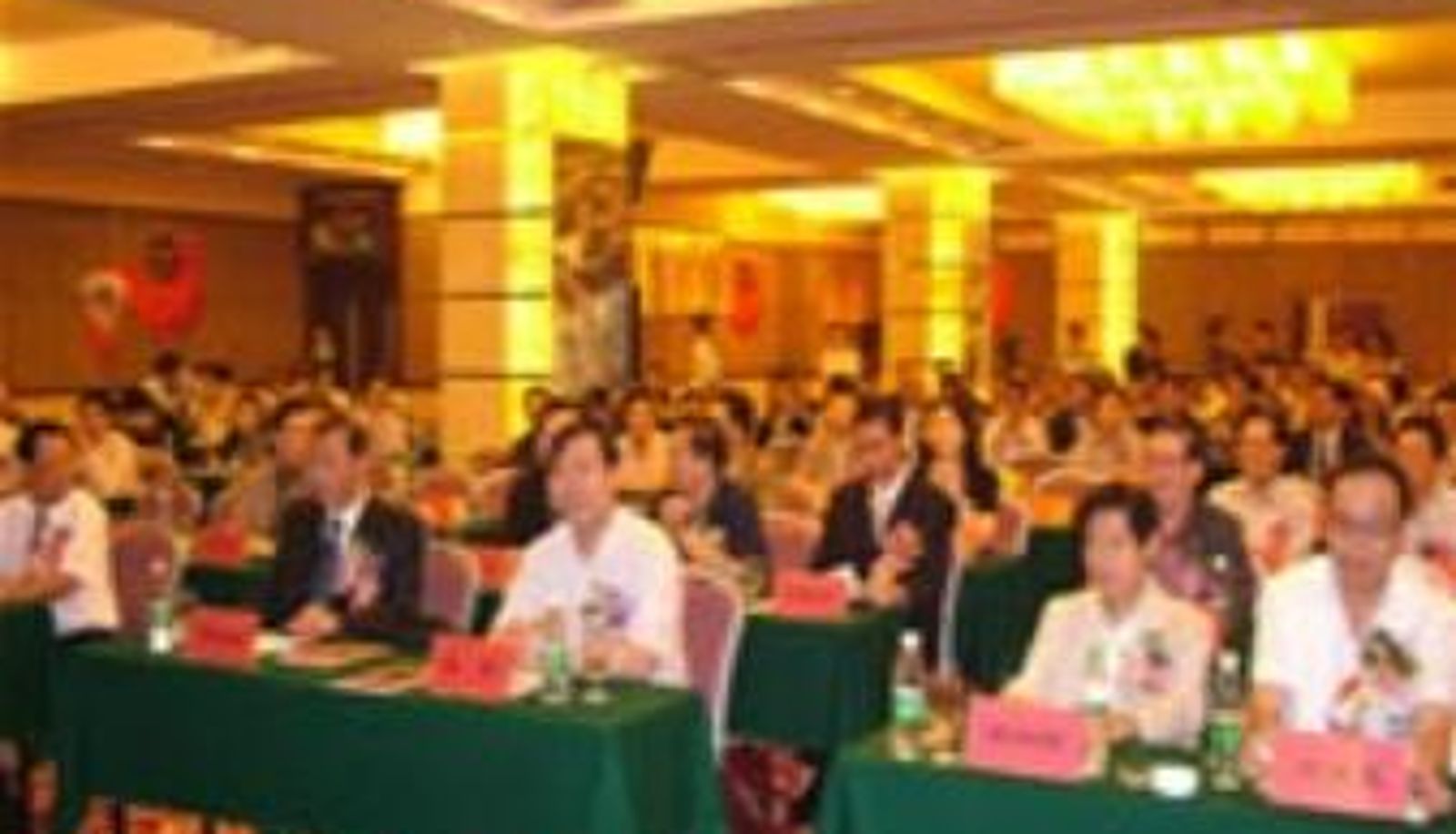 Sala conferenze - GRANDPEAK HOTEL