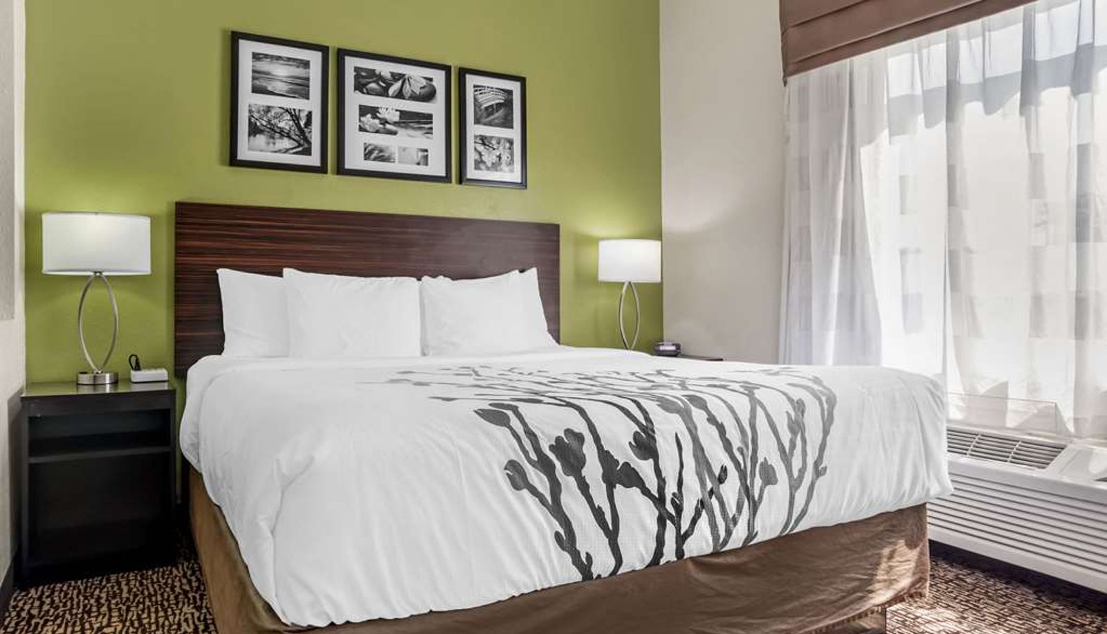 Suite - Sleep Inn & Suites Montgomery East I-85