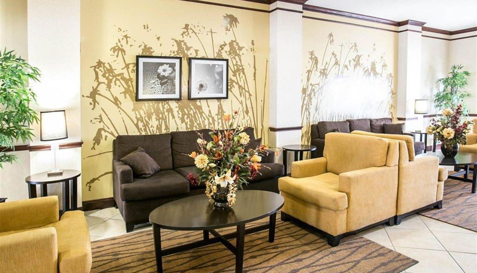 Hall - Sleep Inn & Suites New Braunfels