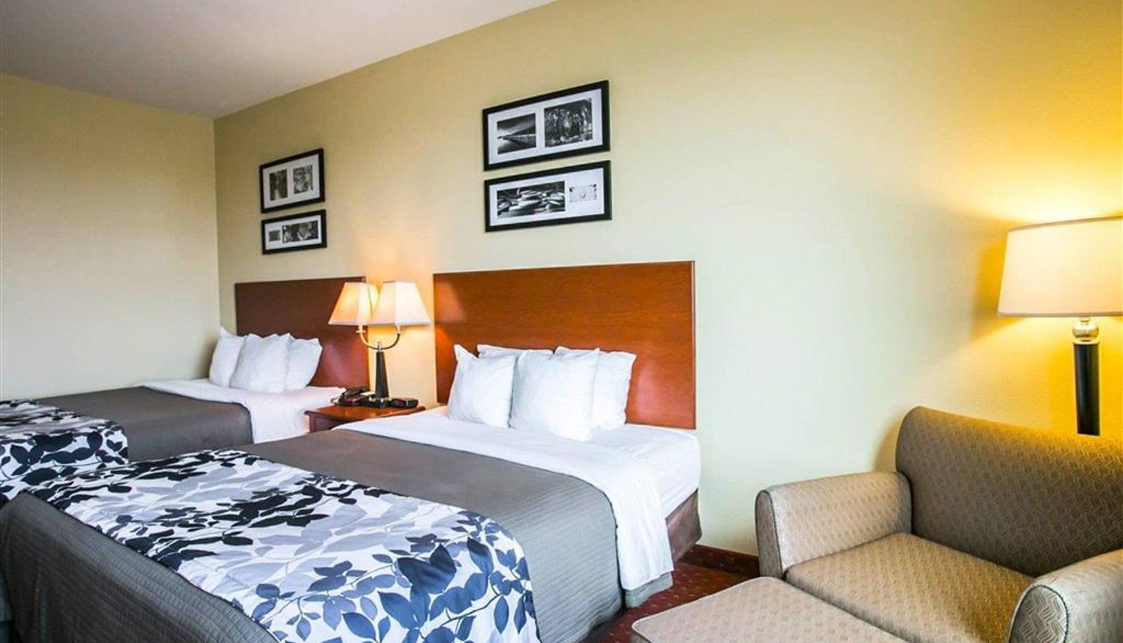 Room - Sleep Inn & Suites New Braunfels