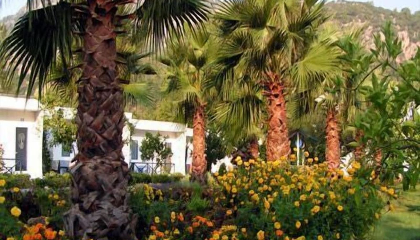 Jardin - Blue & White Hotel