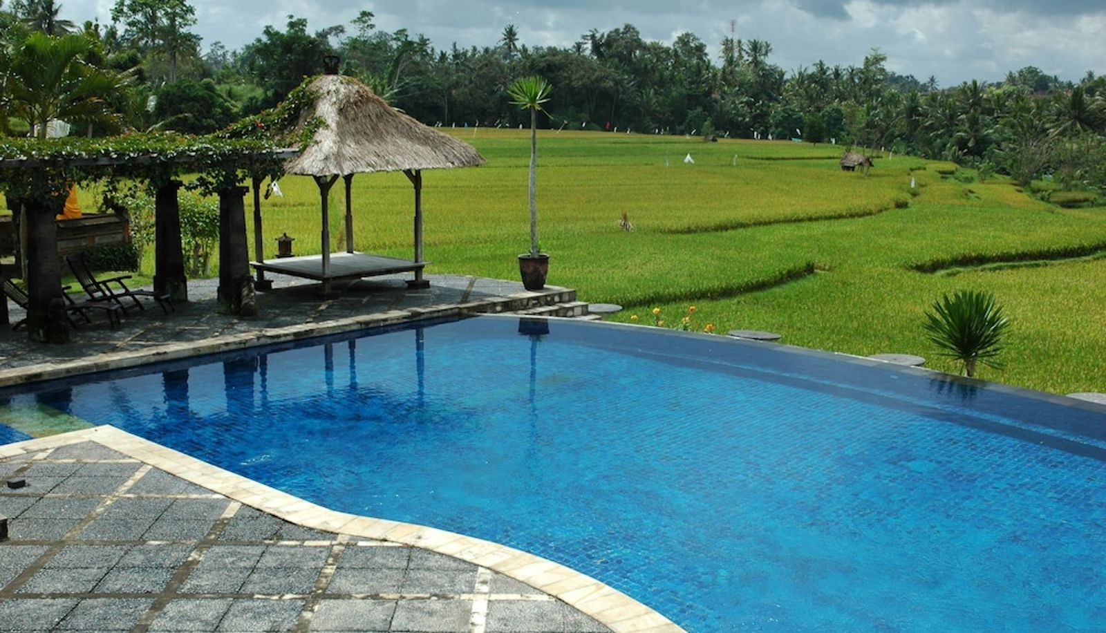 Basen - Bumi Ubud Resort