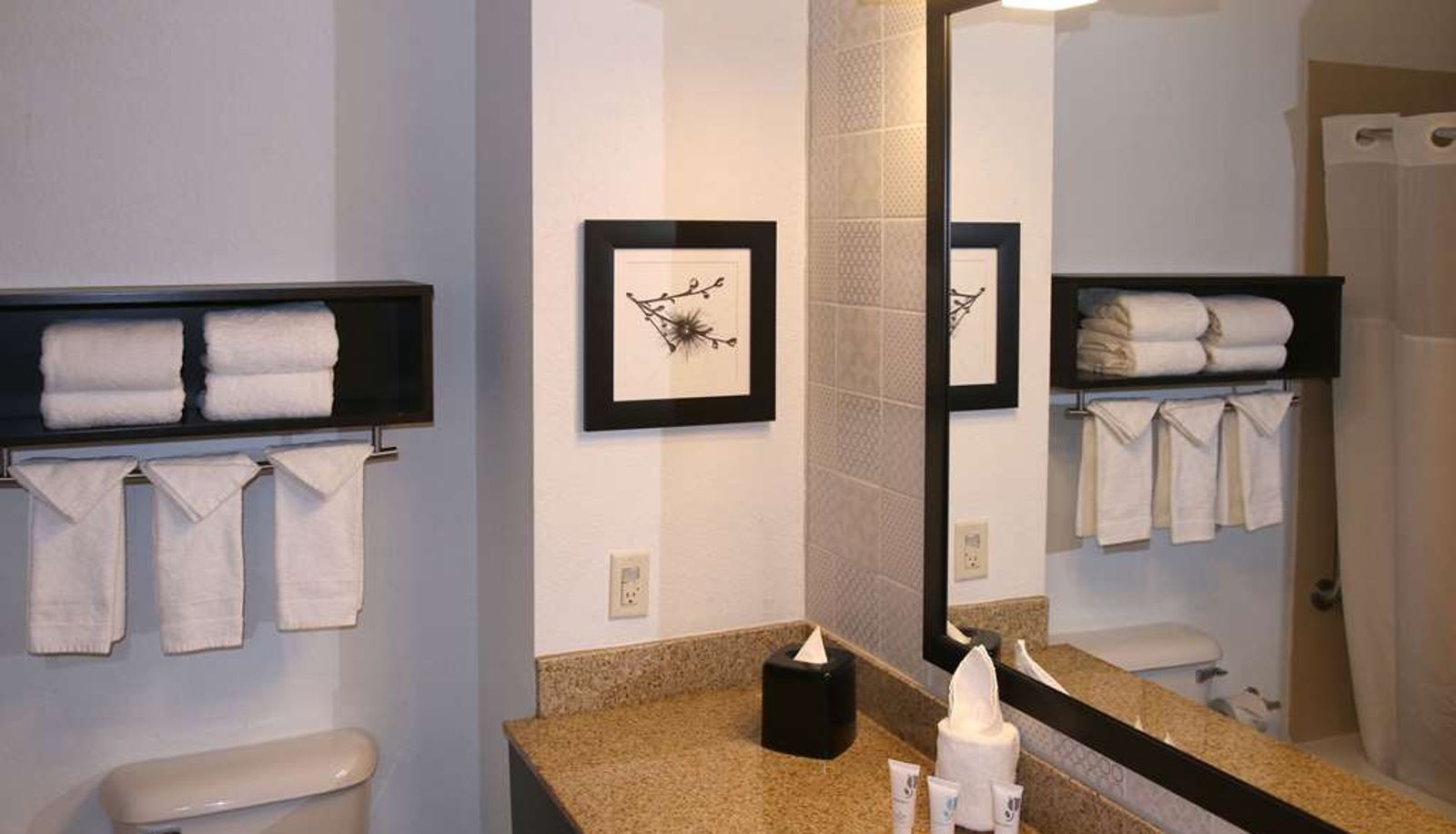 Habitación - Country Inn & Suites by Radisson Wilson NC