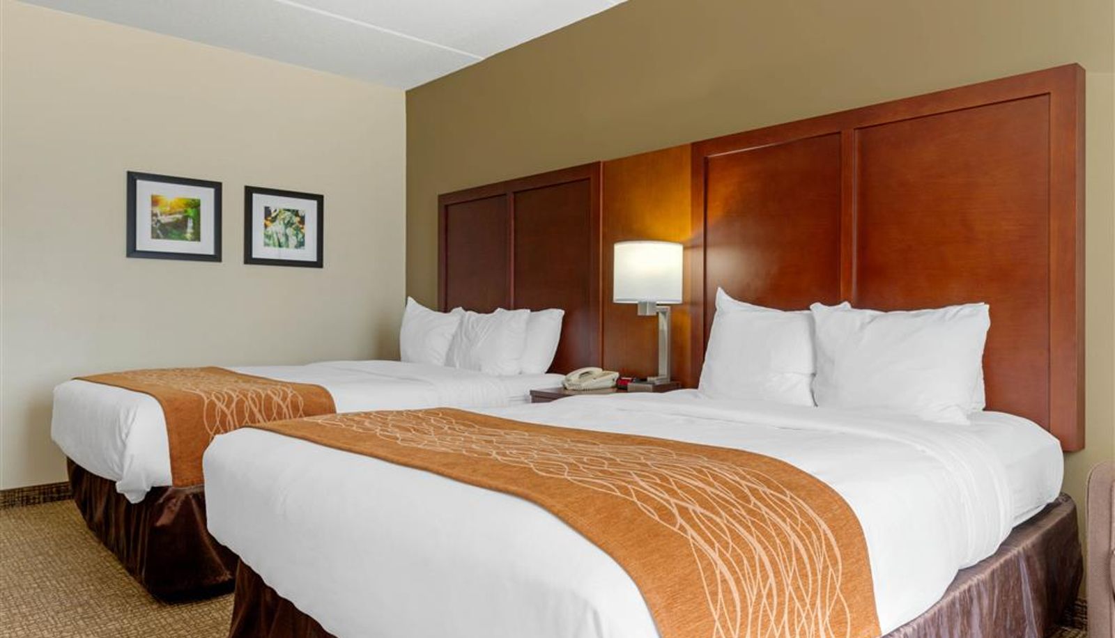 Zimmer - Comfort Inn & Suites Cordele